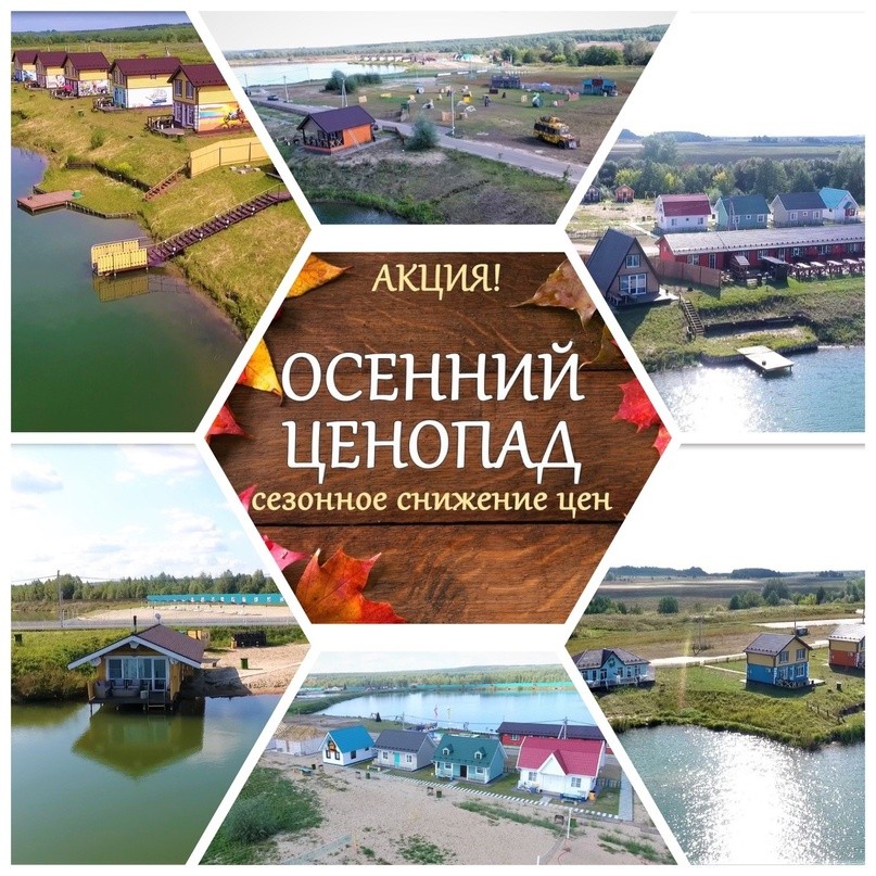 Осенний ценопад Осенний ценопад