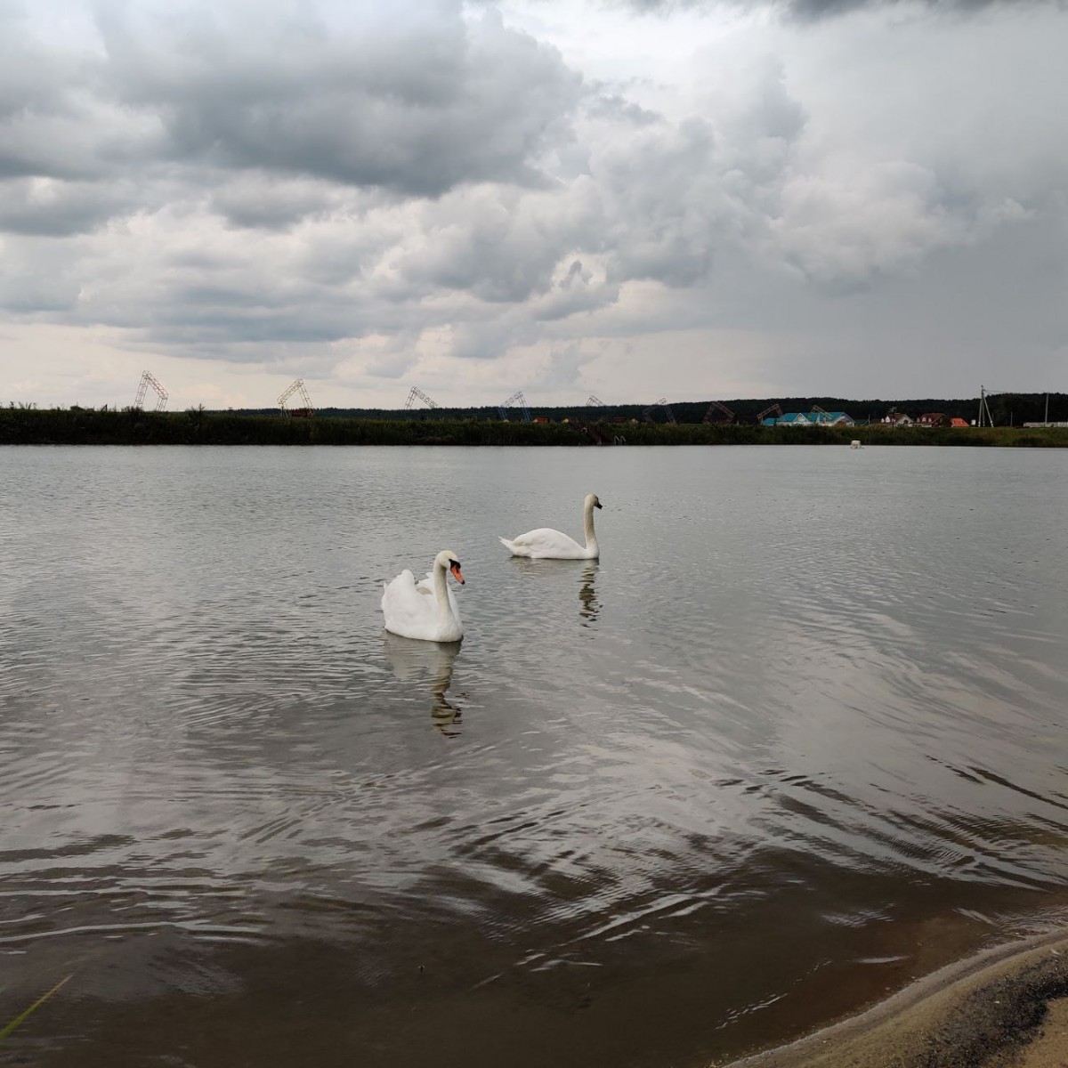 photo_2024-07-29_14-56-56 (2).jpg photo_2024-07-29_14-56-56 (2).jpg