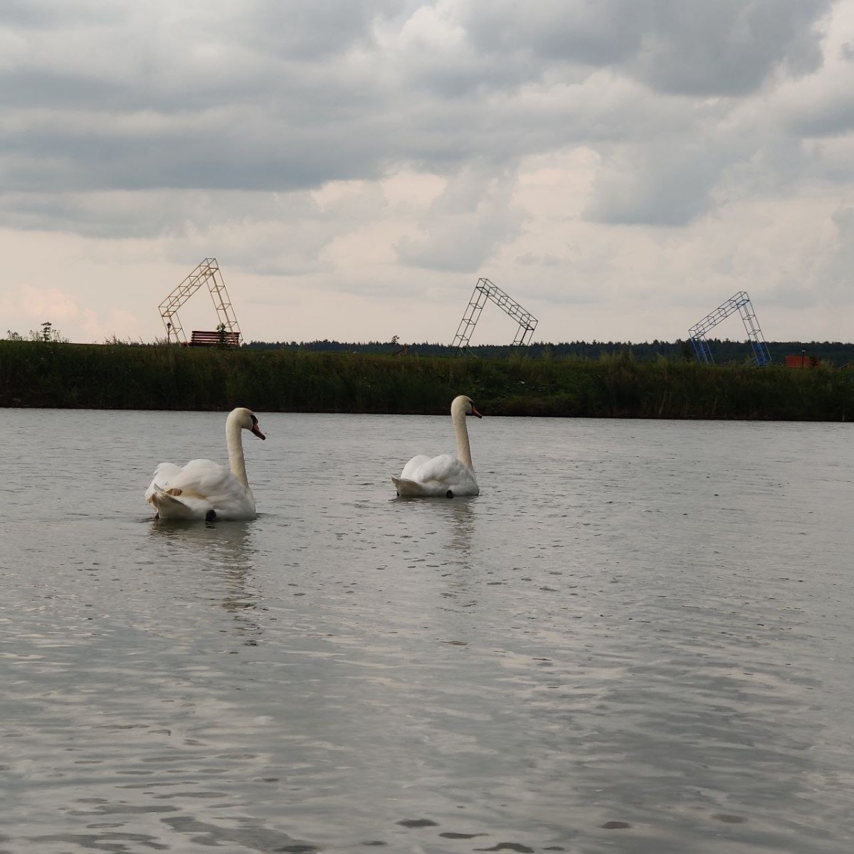 photo_2024-07-29_14-56-53.jpg photo_2024-07-29_14-56-53.jpg